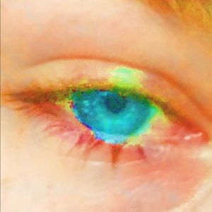 Meet your Posher, Autumn